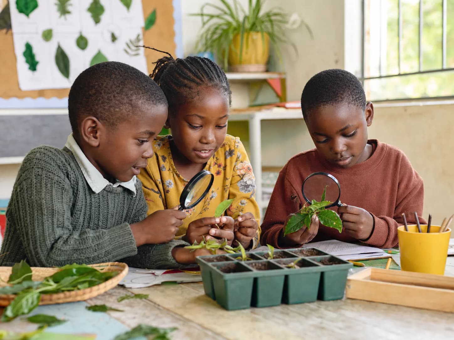 Temporary illustrative image of children exploring leaves during a practical learning activity